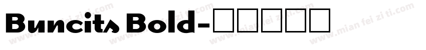 Buncits Bold字体转换
